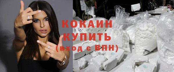 spice Алзамай